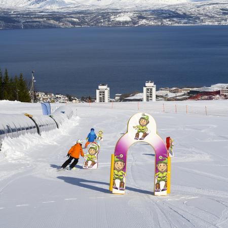 Skiing in Narvikfjellet