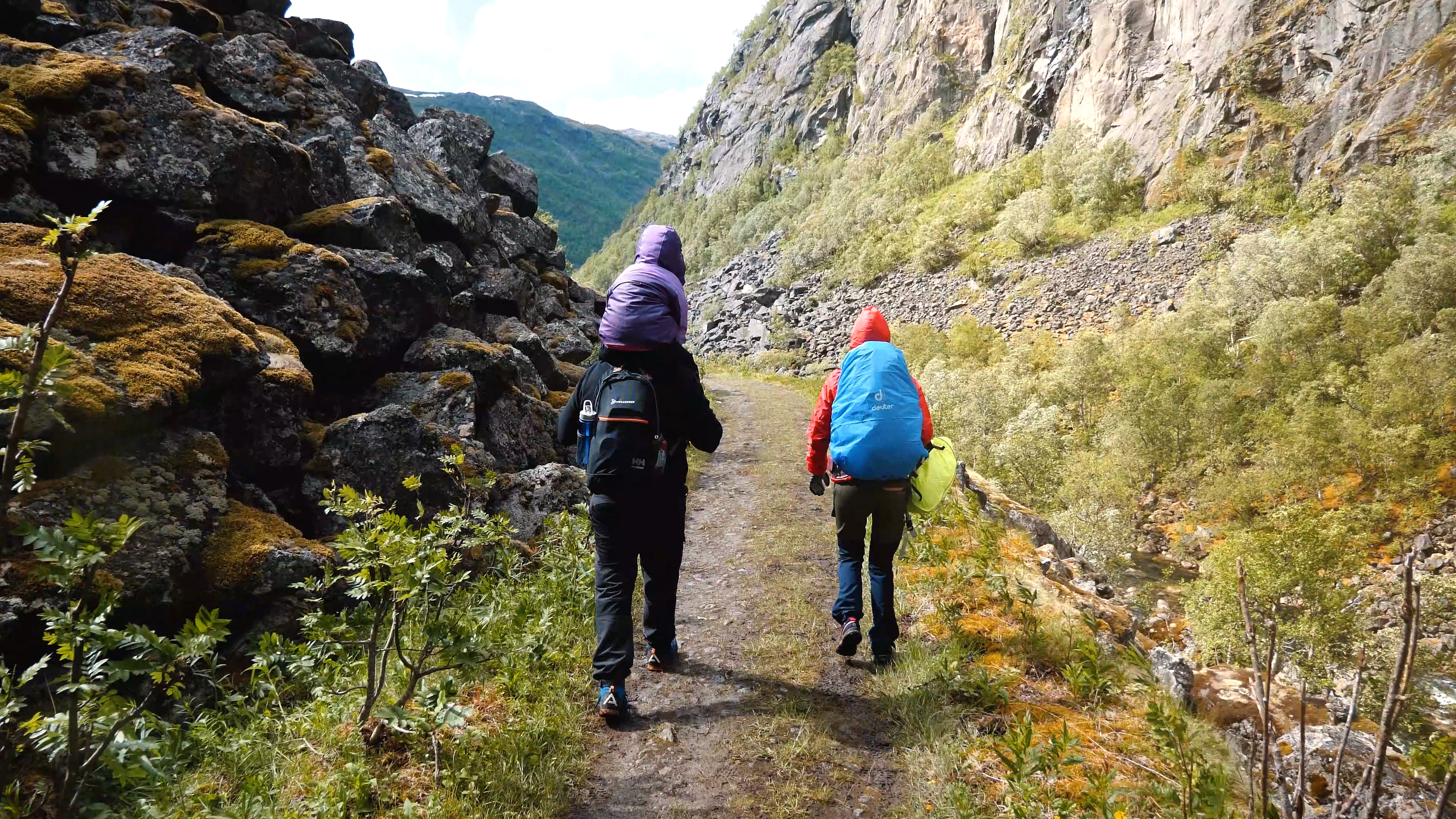 Hiking