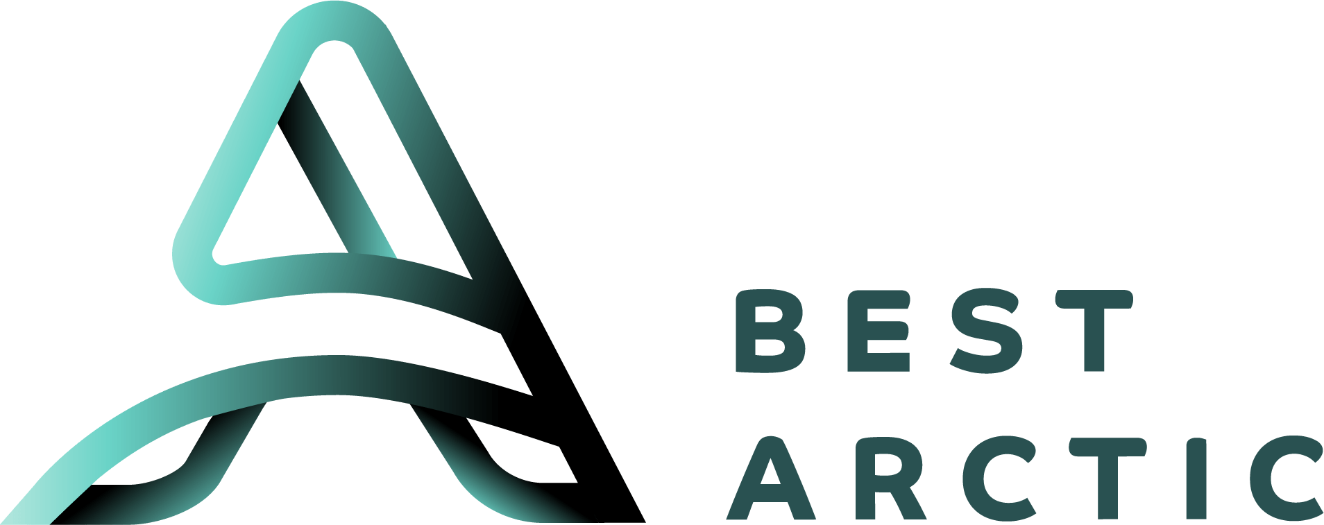 Best Arctic Logo