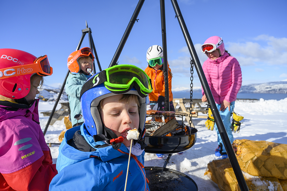 Narvikfjellet