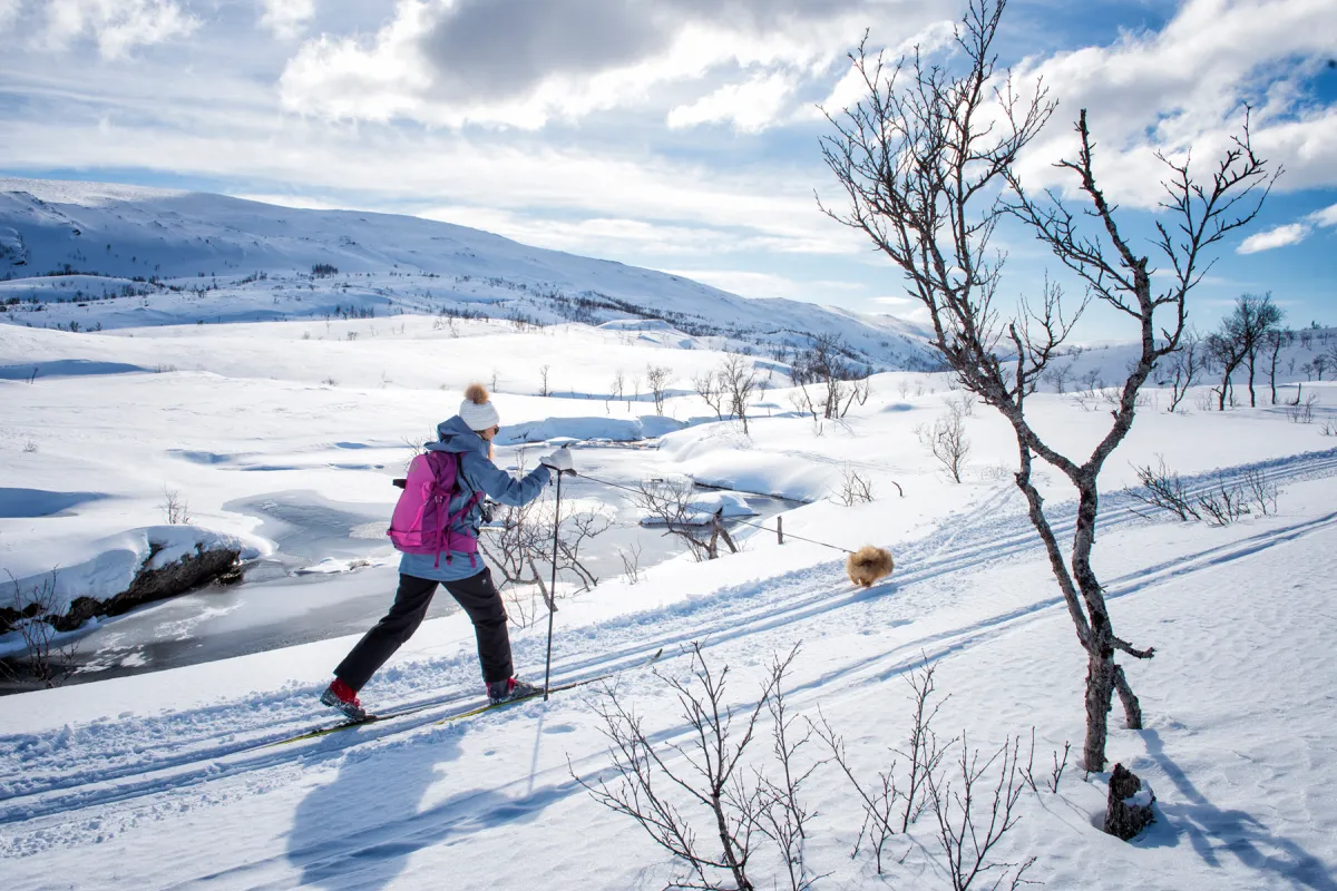 Cross country skiing - Photo: Rune Dahl
