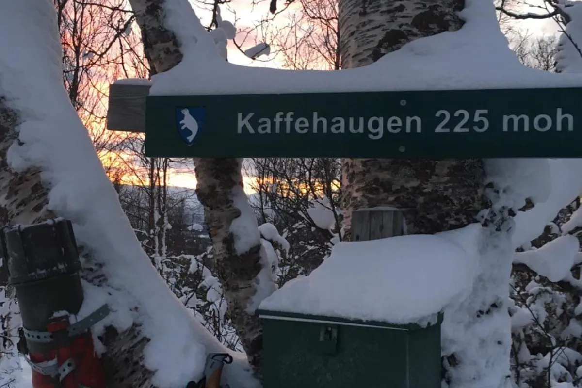Kaffehaugen