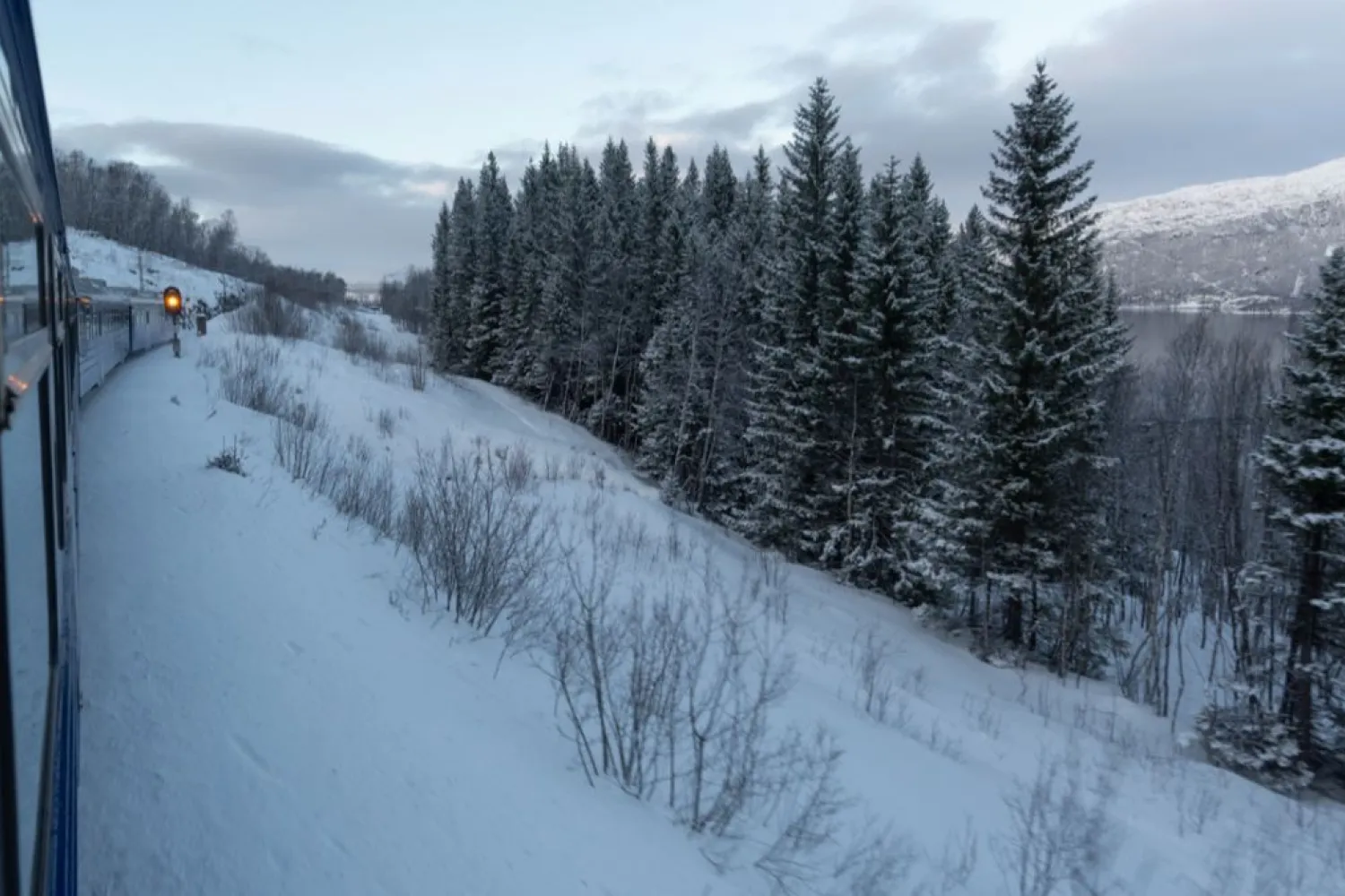 Arctic Train - Ofotbanen