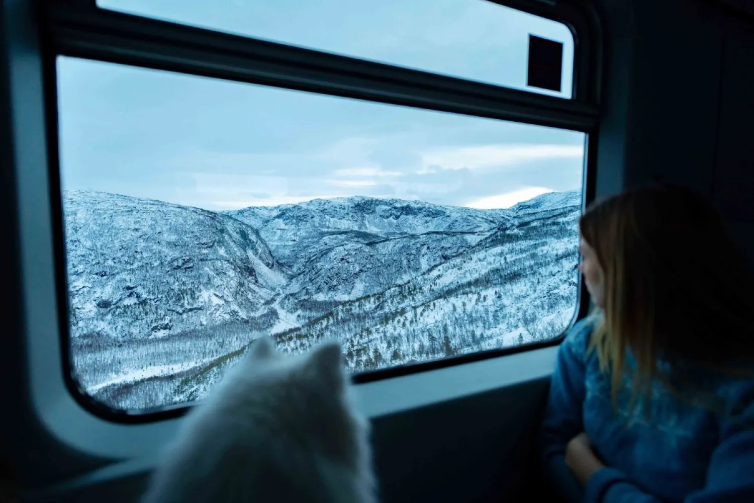 Arctic Train - Ofotbanen