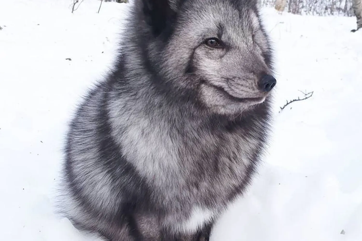 Polar Park