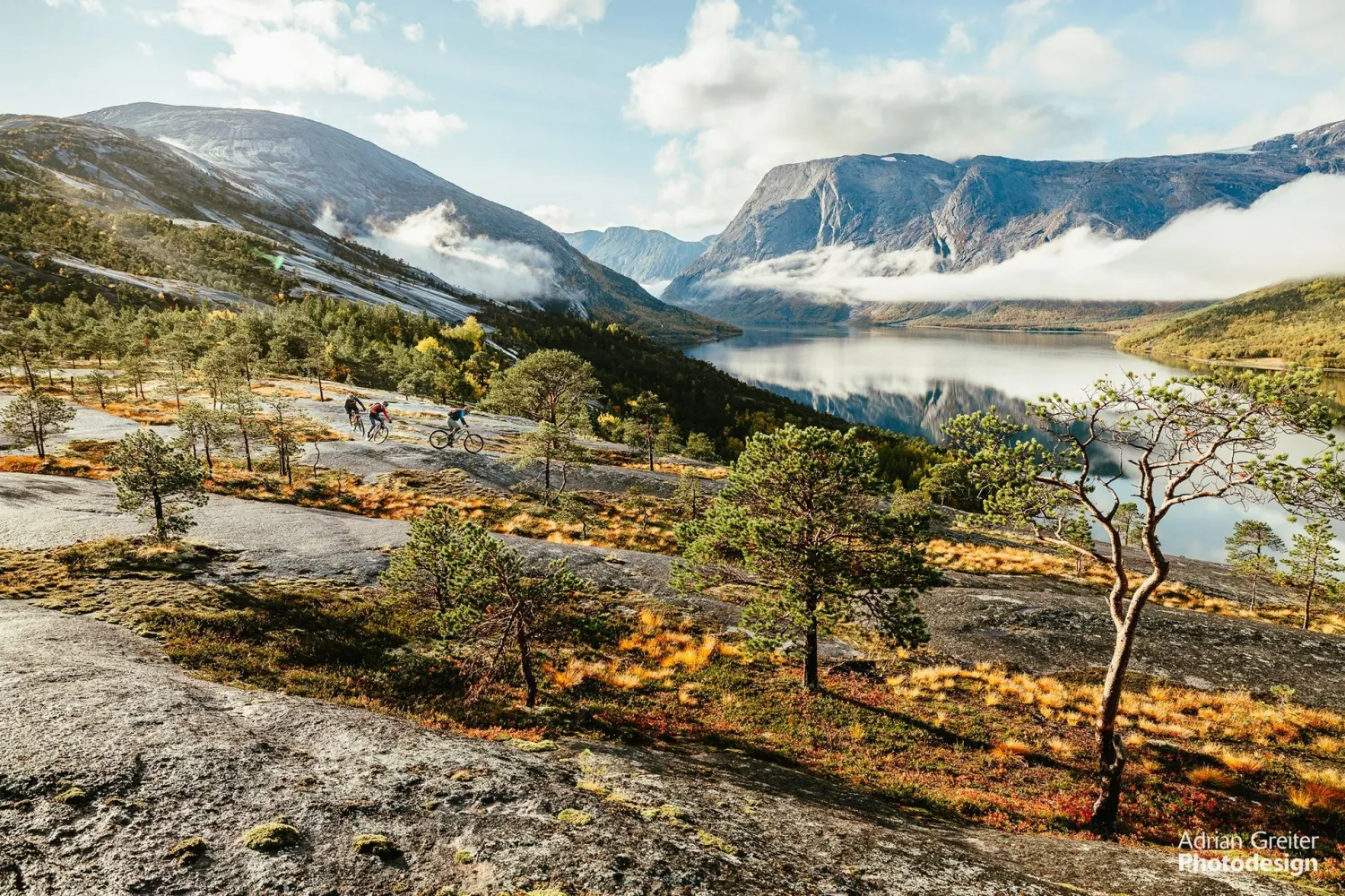 Reinnesfjellet – Spektakulær Svasykling i Skjomen