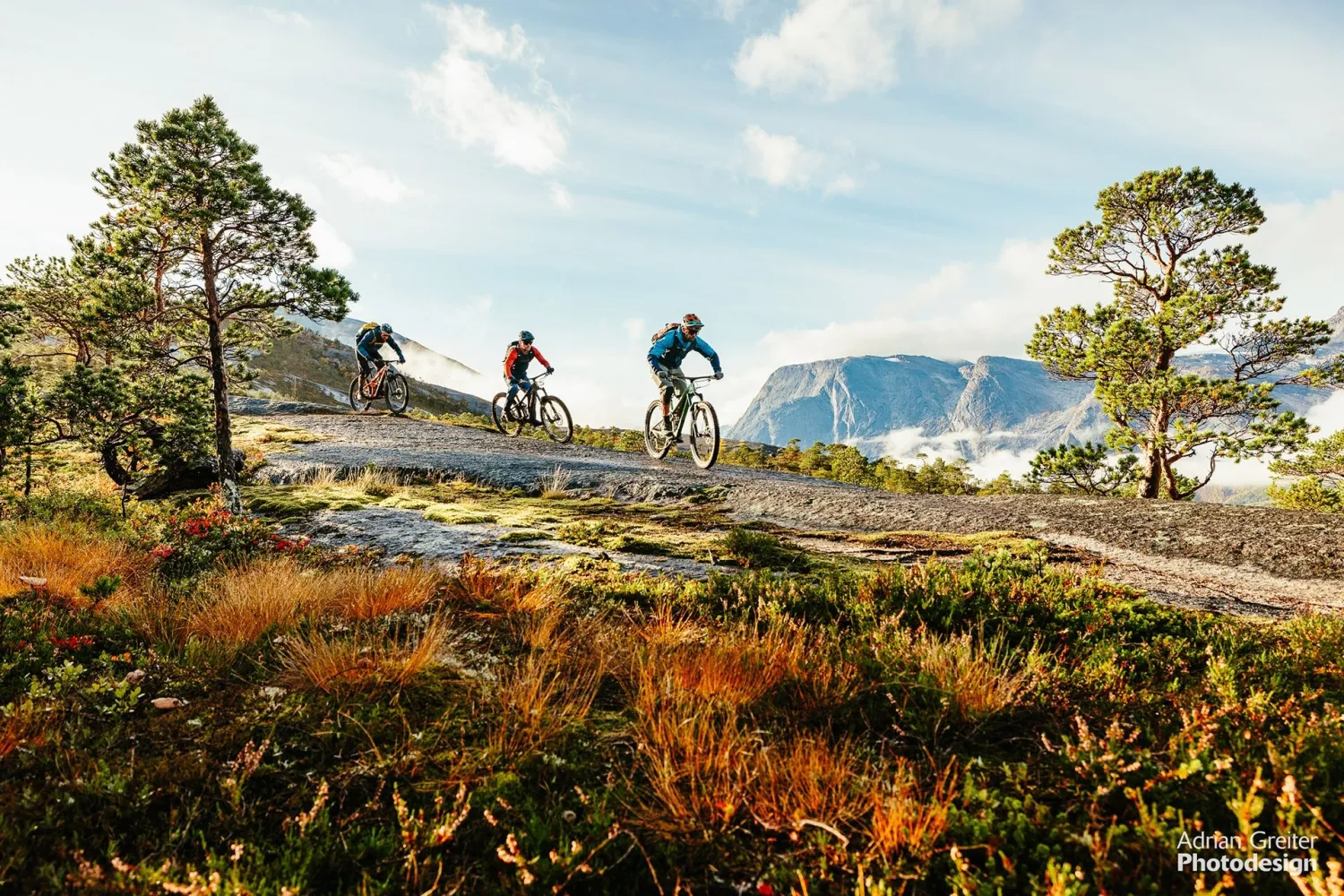 Reinnesfjellet – Spektakulær Svasykling i Skjomen