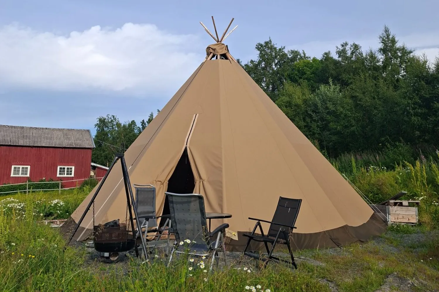 Northern Norwegian summer experience at Angell Farm