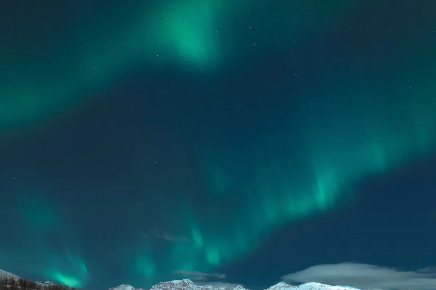 Premium nordlysjakt fra Tromsø