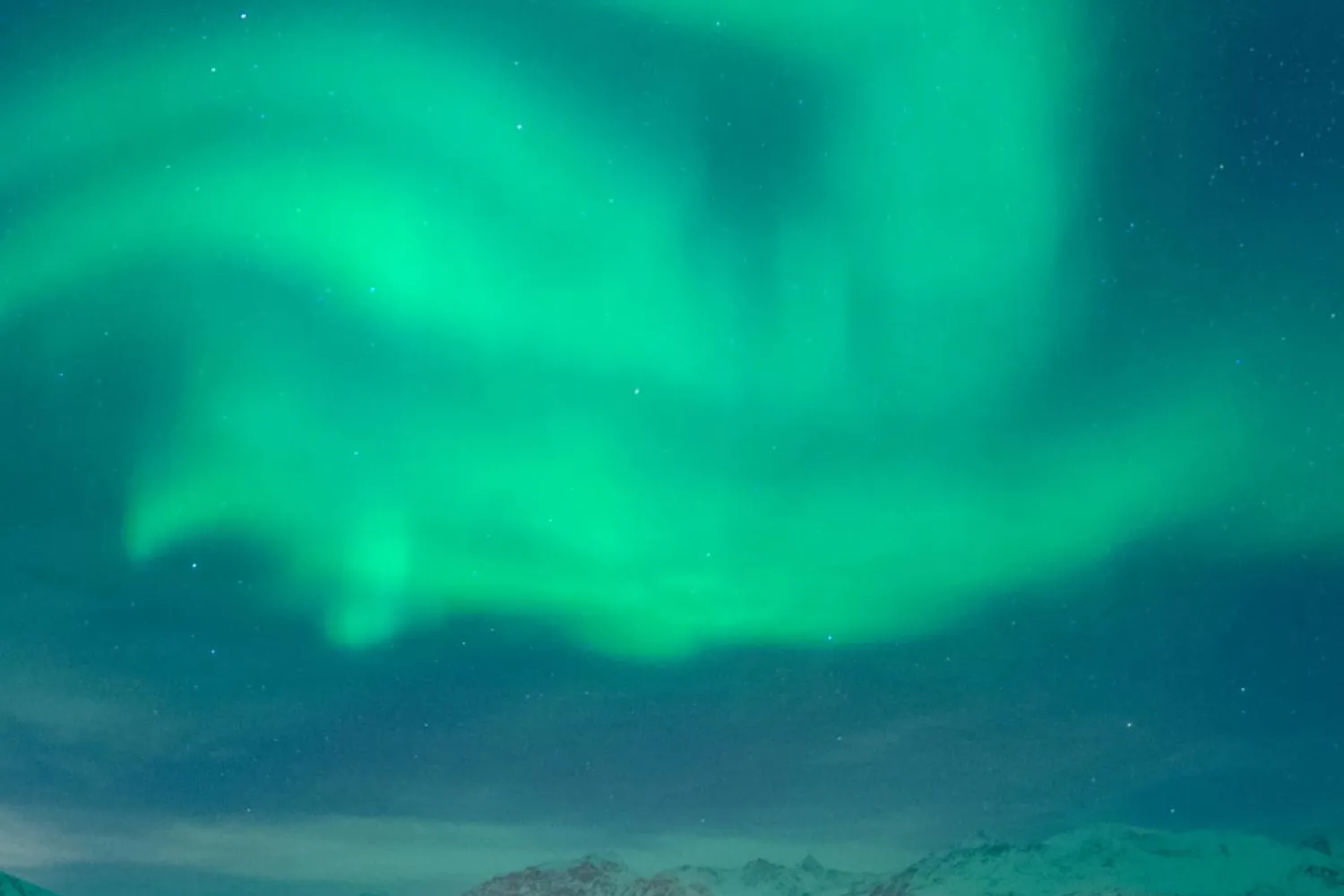 Premium nordlysjakt fra Tromsø