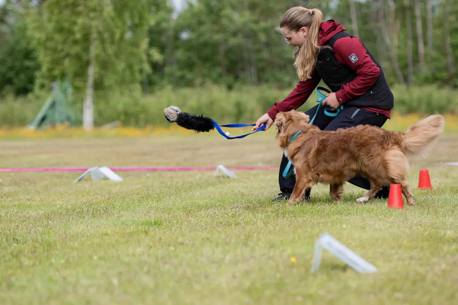 Barn og ungdomskurs med hund