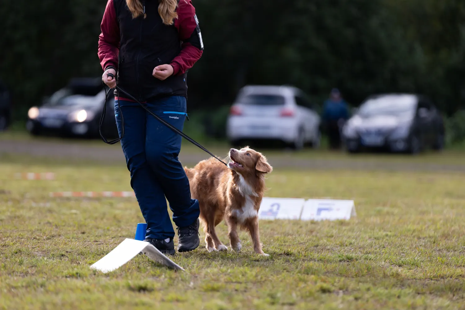 Barn og ungdomskurs med hund