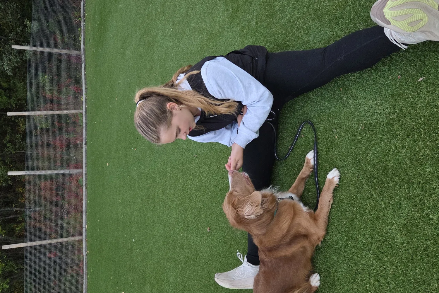 Barn og ungdomskurs med hund
