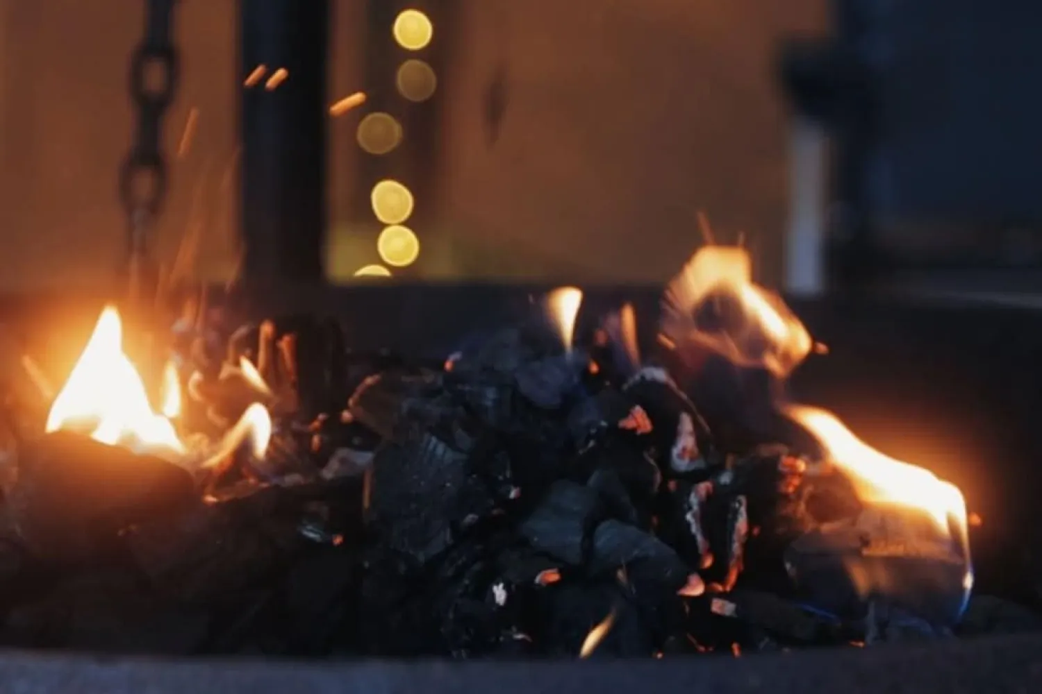 Nord-Norsk opplevelse på Angell Gjestegård