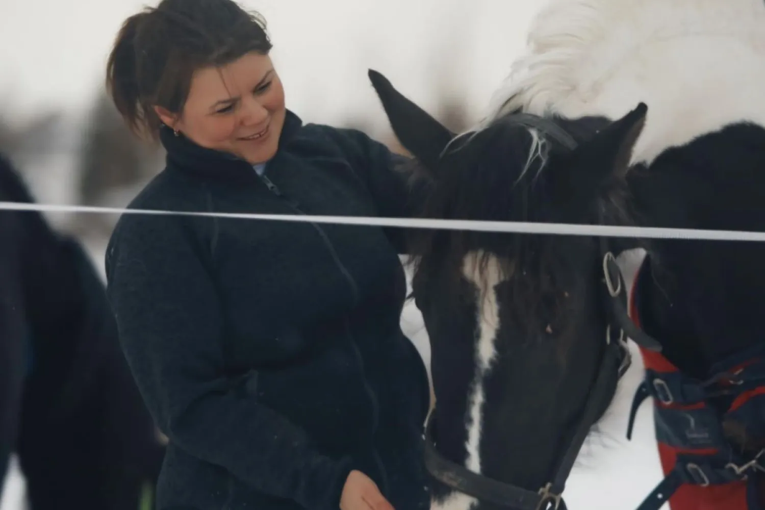 Nord-Norsk opplevelse på Angell Gjestegård