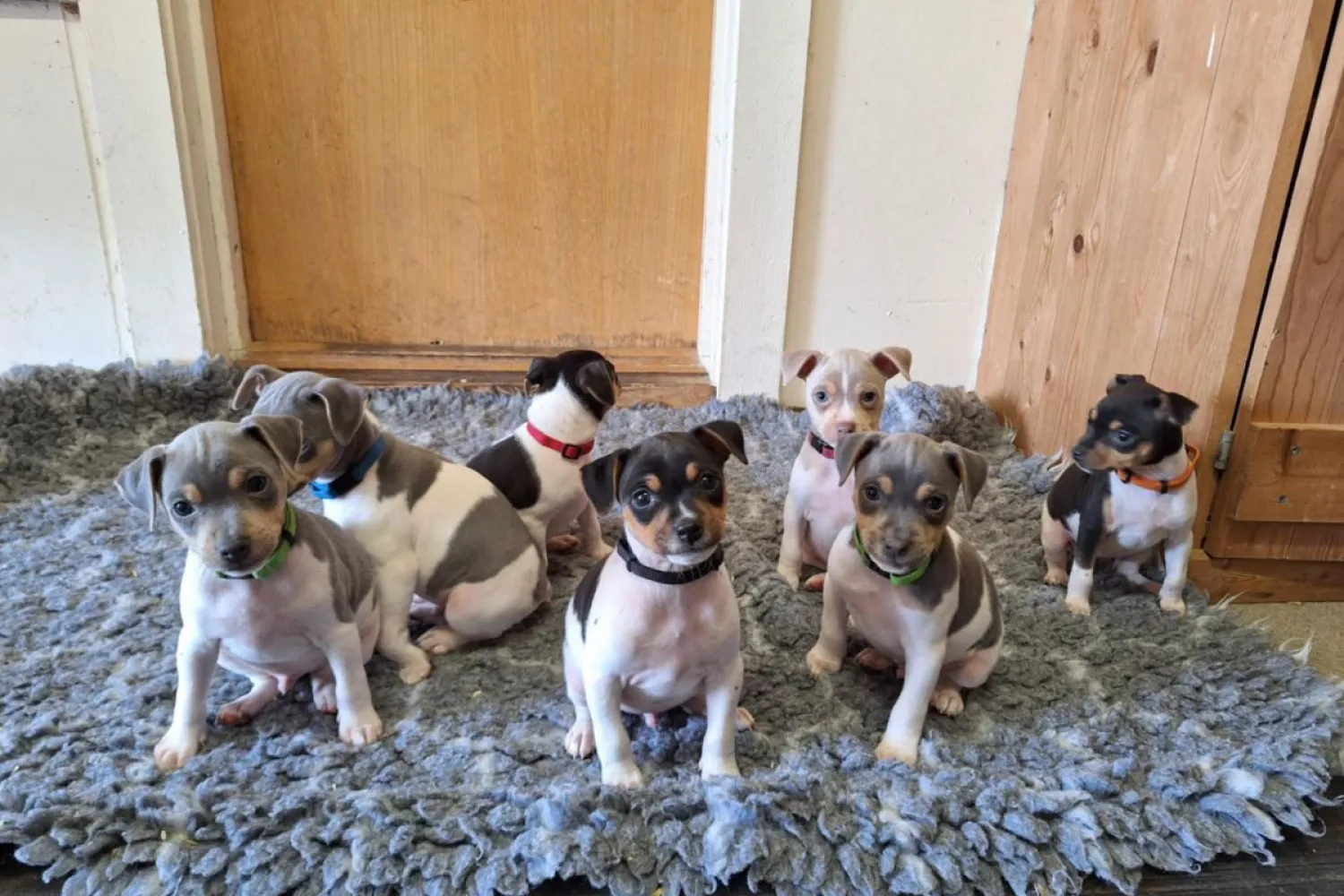 Nord-Norsk opplevelse på Angell Gjestegård