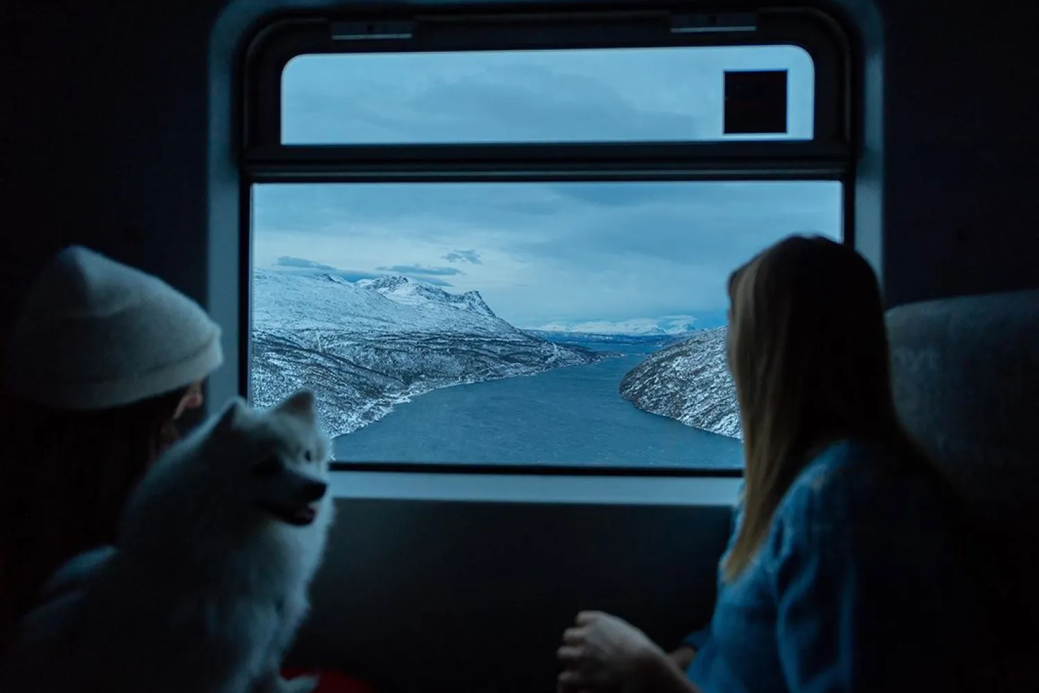 Arctic Train - Ofotbanen