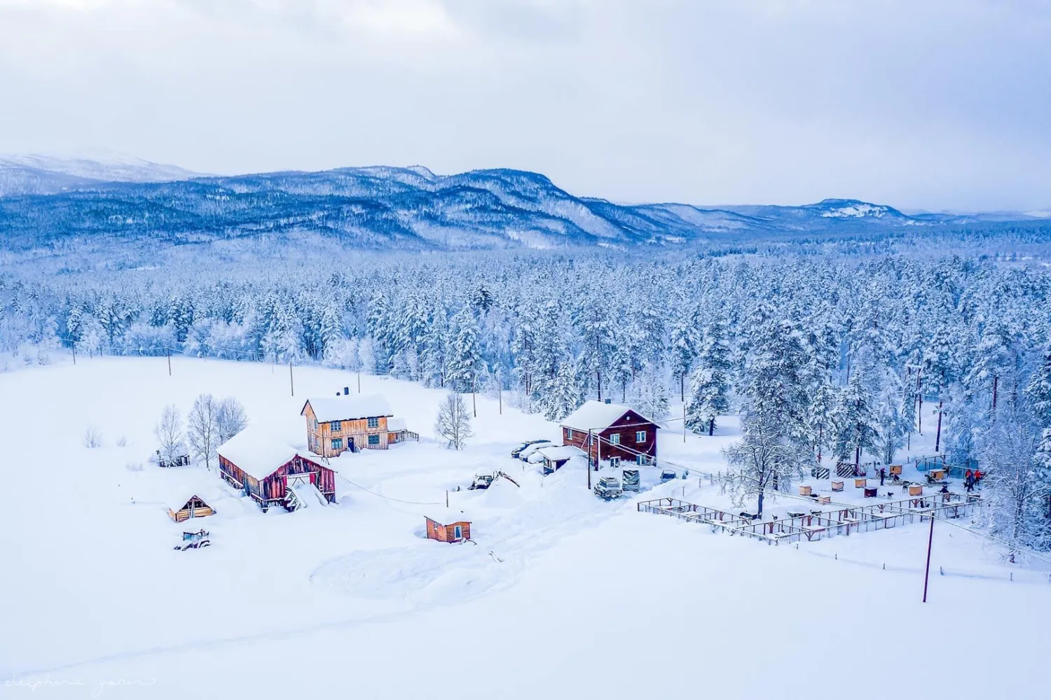 Kjør ditt eget hundeteam med OffTrack Experience (dagstur vinter)