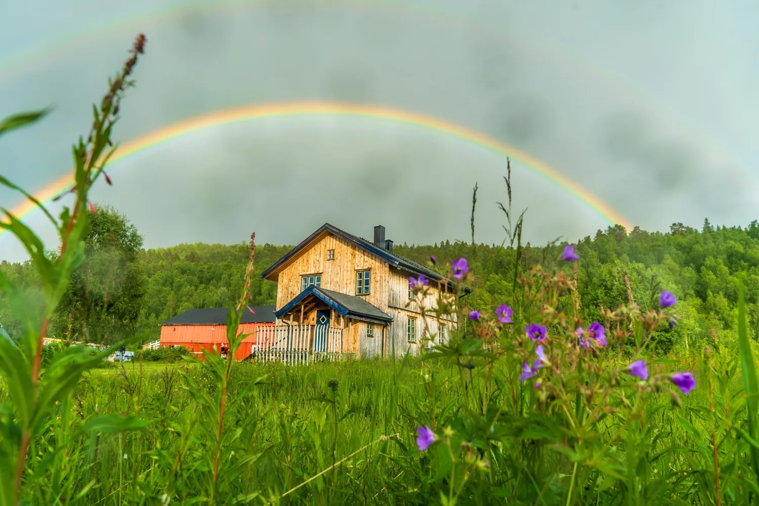 Privat pakke – Husky Lodge og aktiviteter