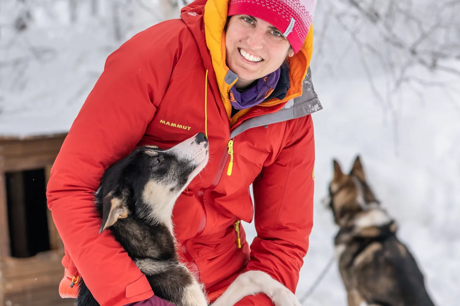 Privat pakke – Husky Lodge og aktiviteter