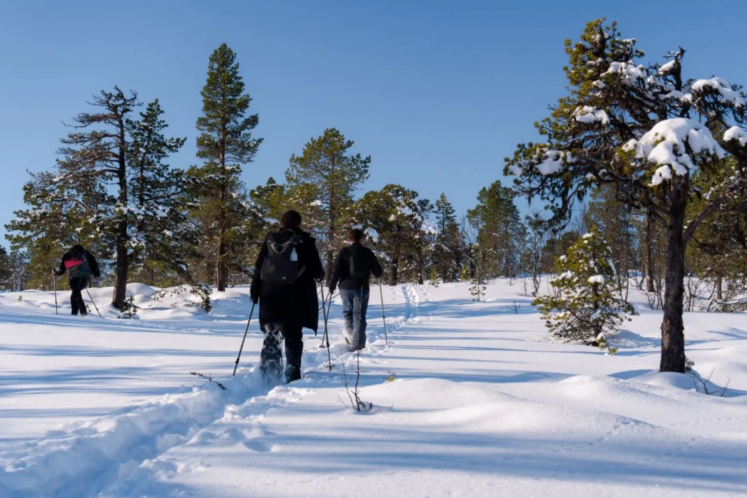 Trugetur langs fjorden + lunsj