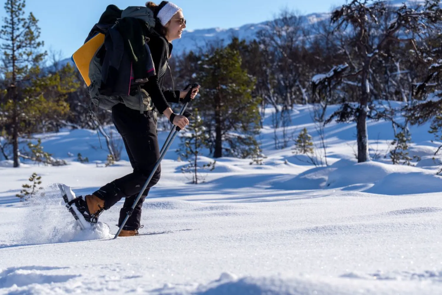 Trugetur langs fjorden + lunsj