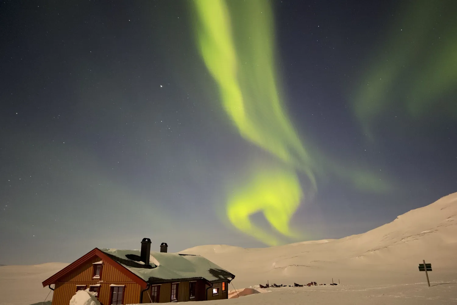 Opplev en reise gjennom Dividalen nasjonalpark med hundeslede