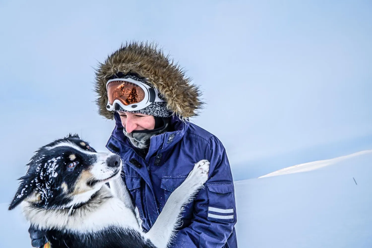 Opplev en reise gjennom Dividalen nasjonalpark med hundeslede