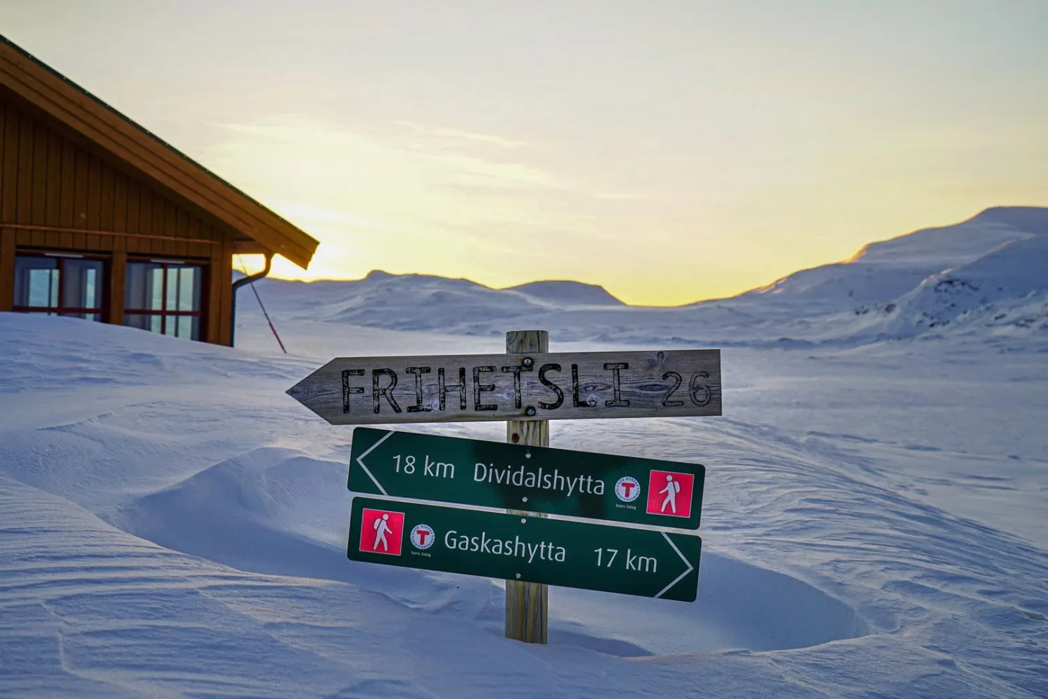 Opplev en reise gjennom Dividalen nasjonalpark med hundeslede