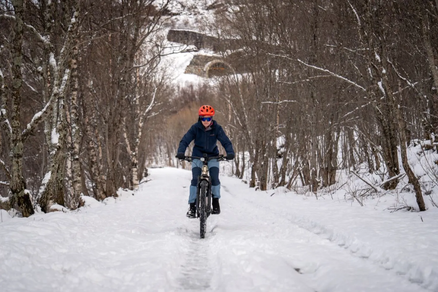 Elektrisk vintersykling