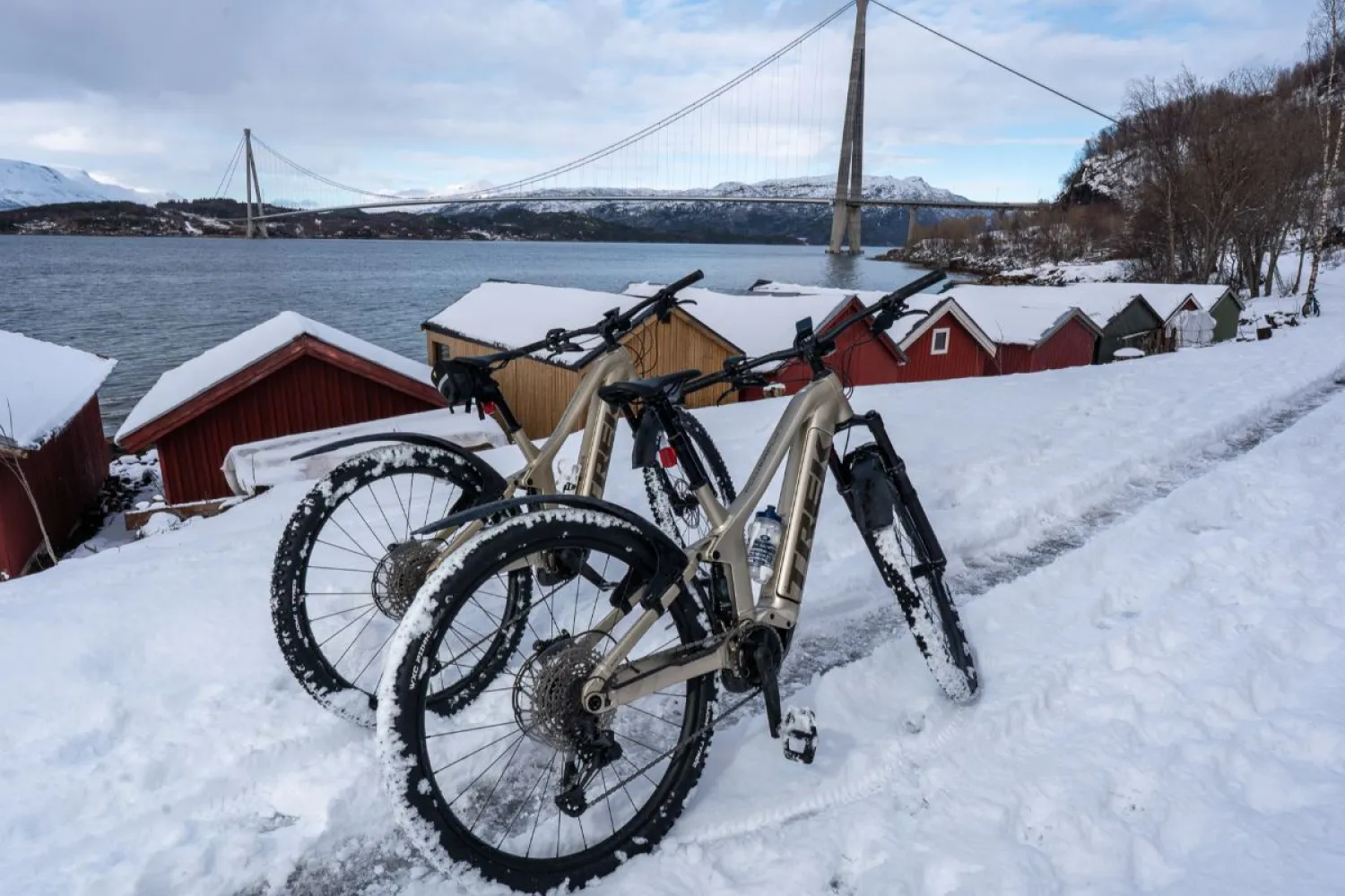 Elektrisk vintersykling