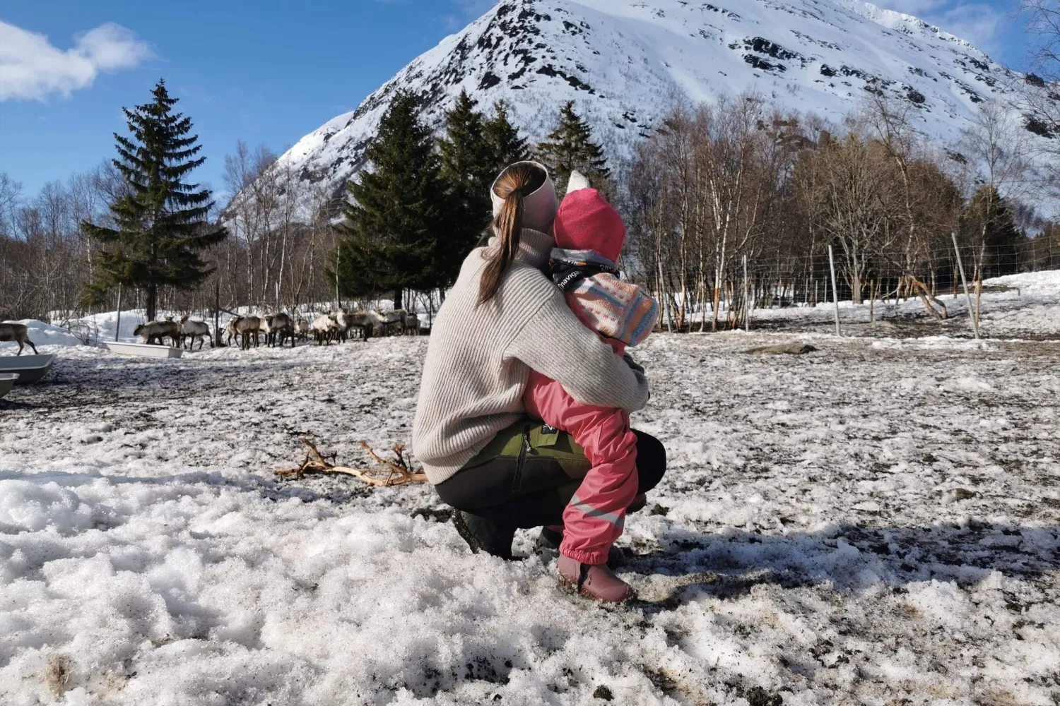 Reinsdyr, kultur og arktiske tradisjoner i Harstad