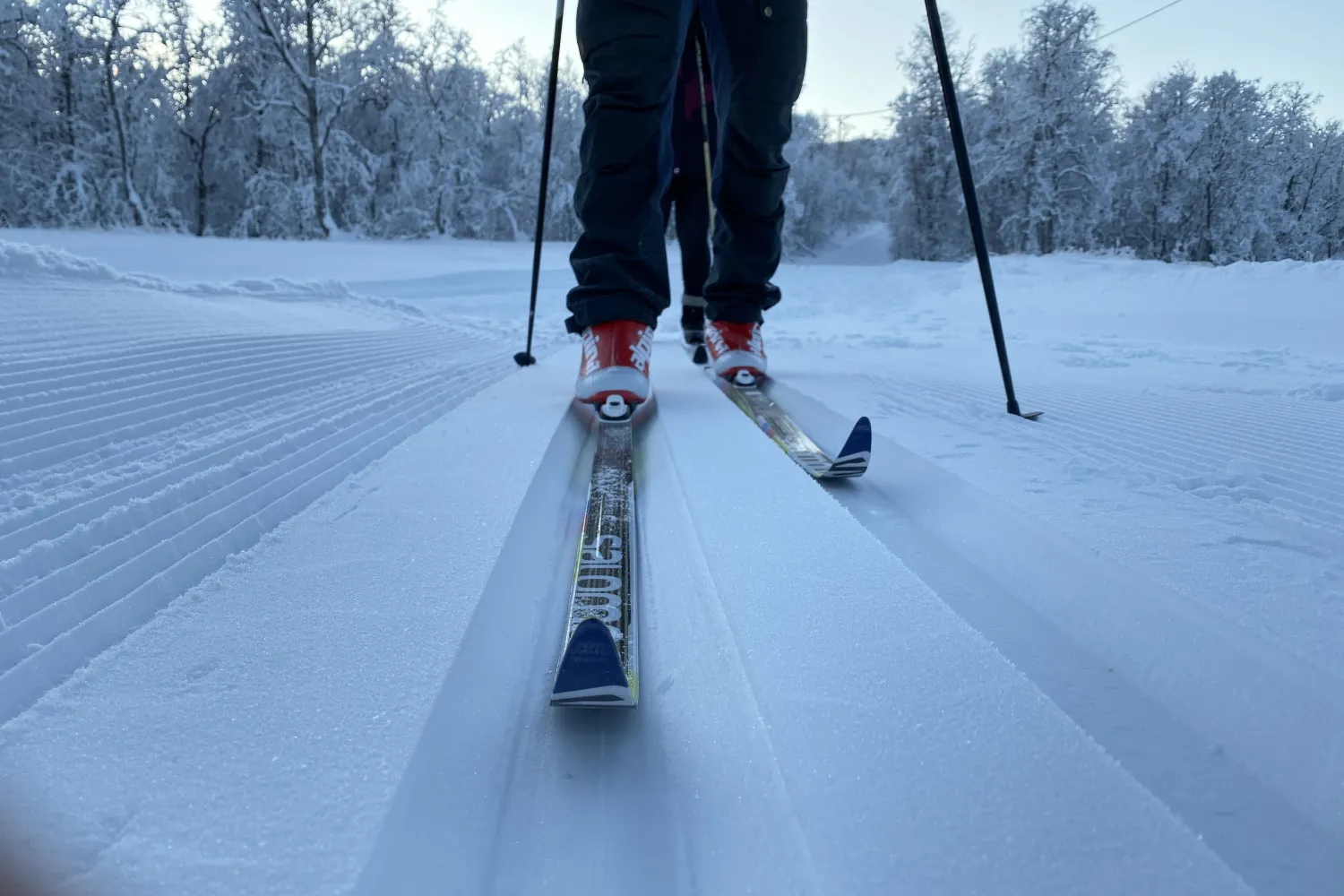 Oppdag gleden ved langrenn med skikurs i vakre Folkeparken