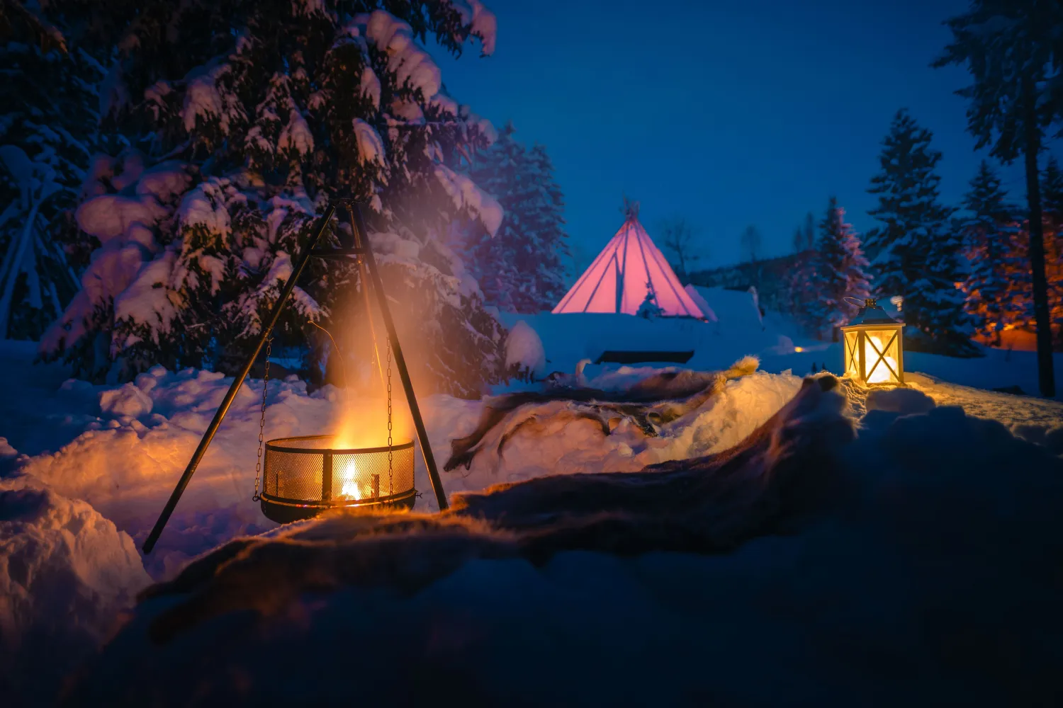 Magiske møter med reinsdyr og samisk kultur