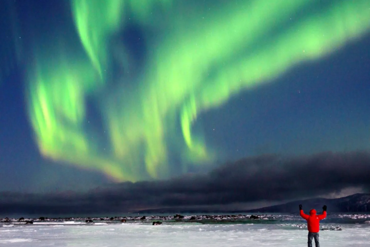 Nordlyseventyret i Narvik