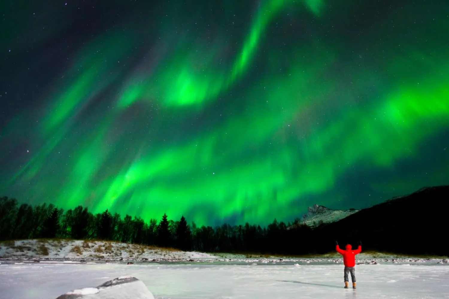 Nordlyseventyret i Narvik