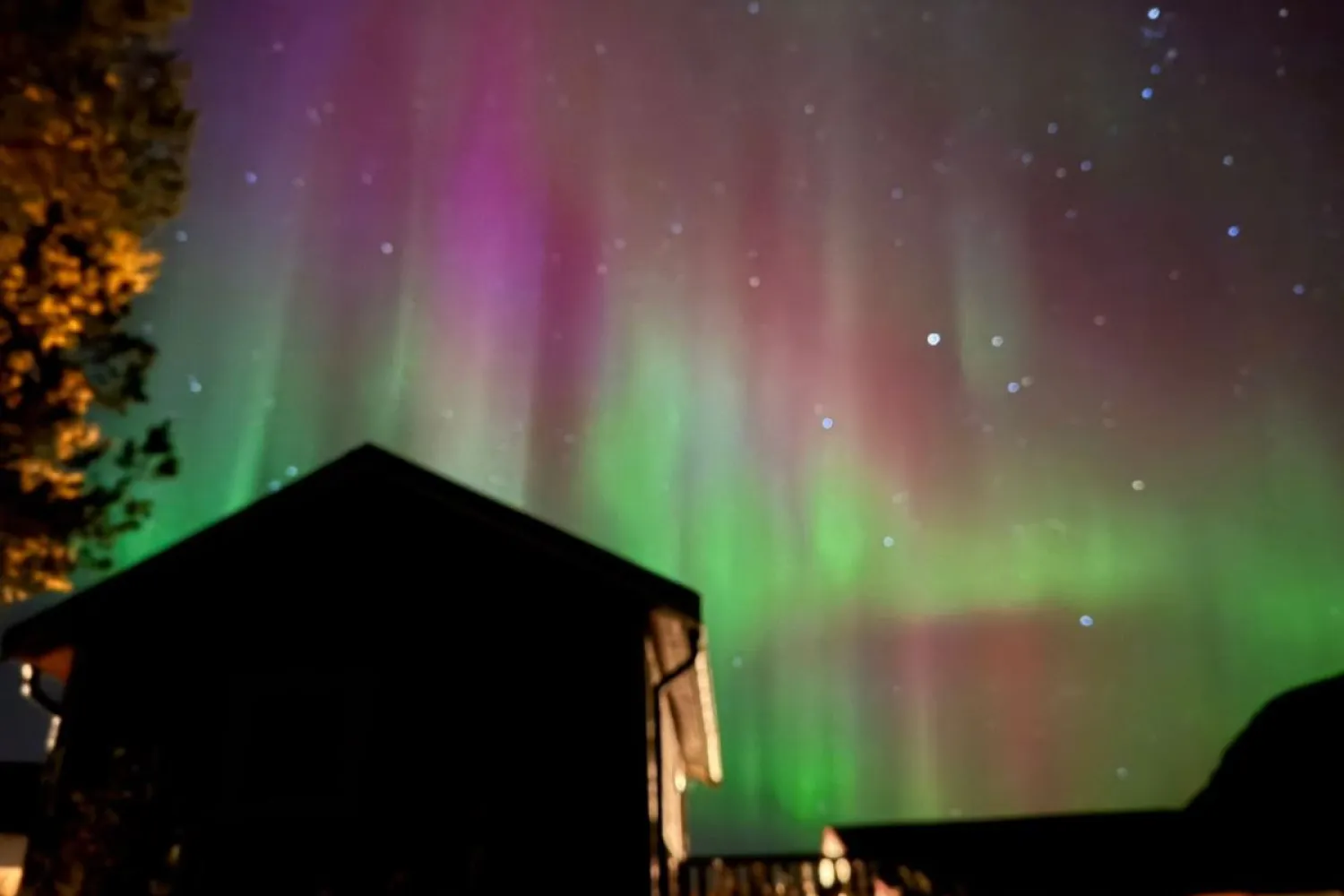 Snøscooter opplevelse