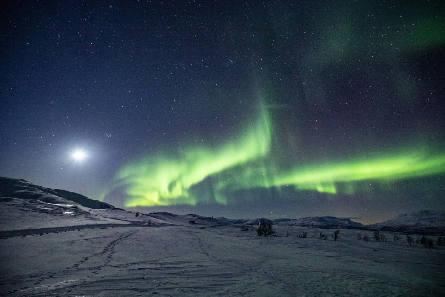 Opplev arktisk lys på trugetur i Bjørkliden