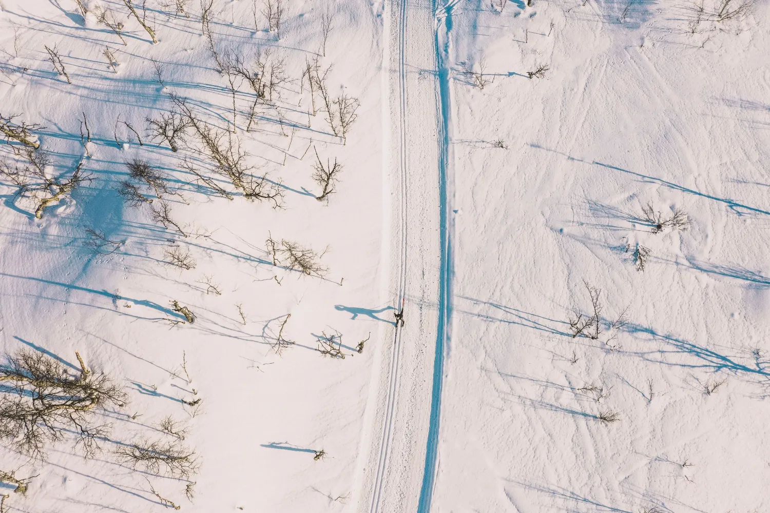 Skieventyr i Bjørkliden