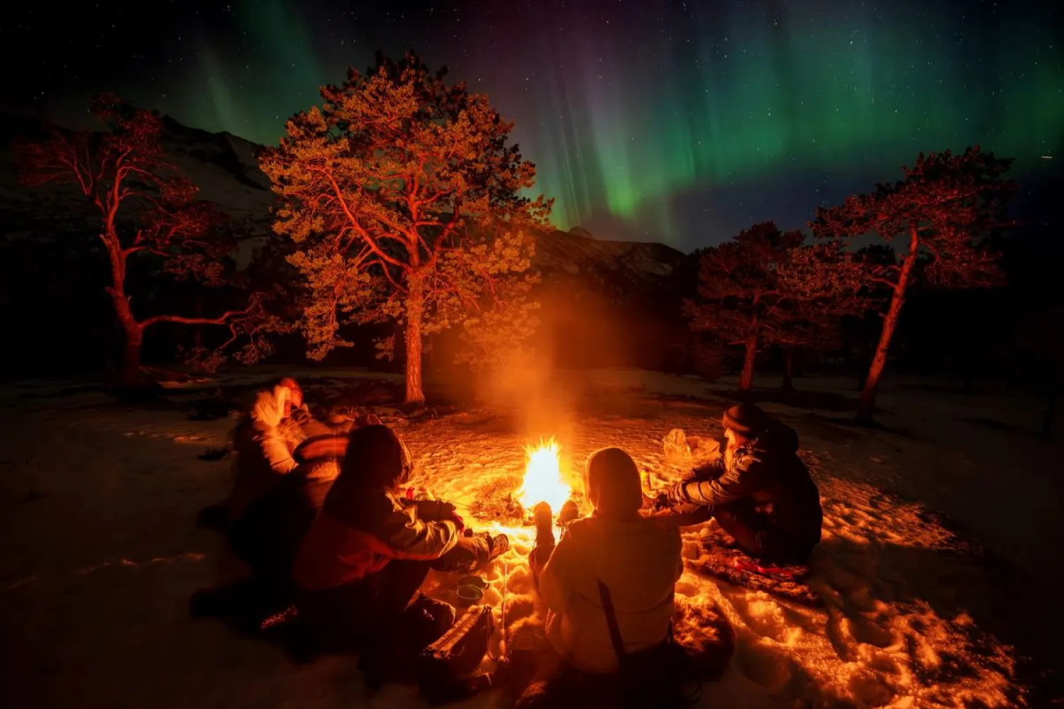 NARVIK: Jakten på nordlyset