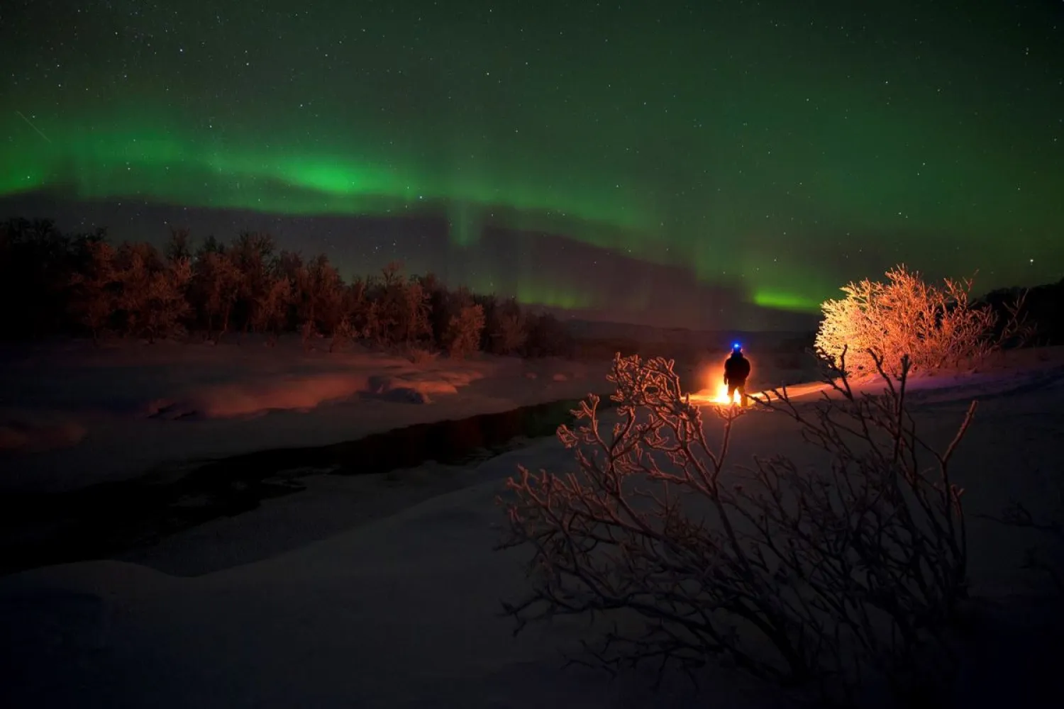 NARVIK: Jakten på nordlyset