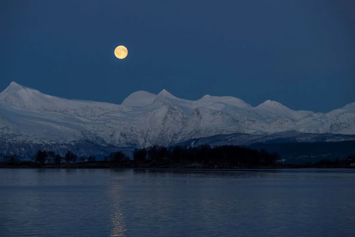 NARVIK: Fjords & Arctic Light