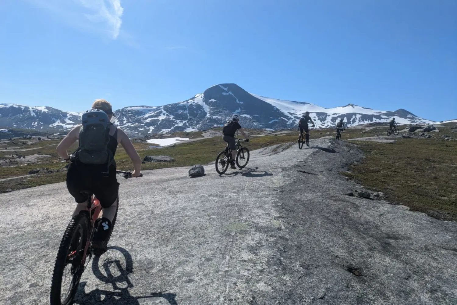 Bike & Shuttle - Reinnesfjellet made easy!