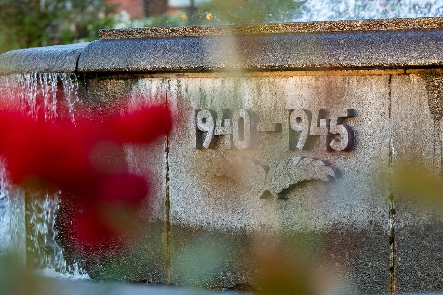 Frihetsmonumentet - Liv opp av kaos