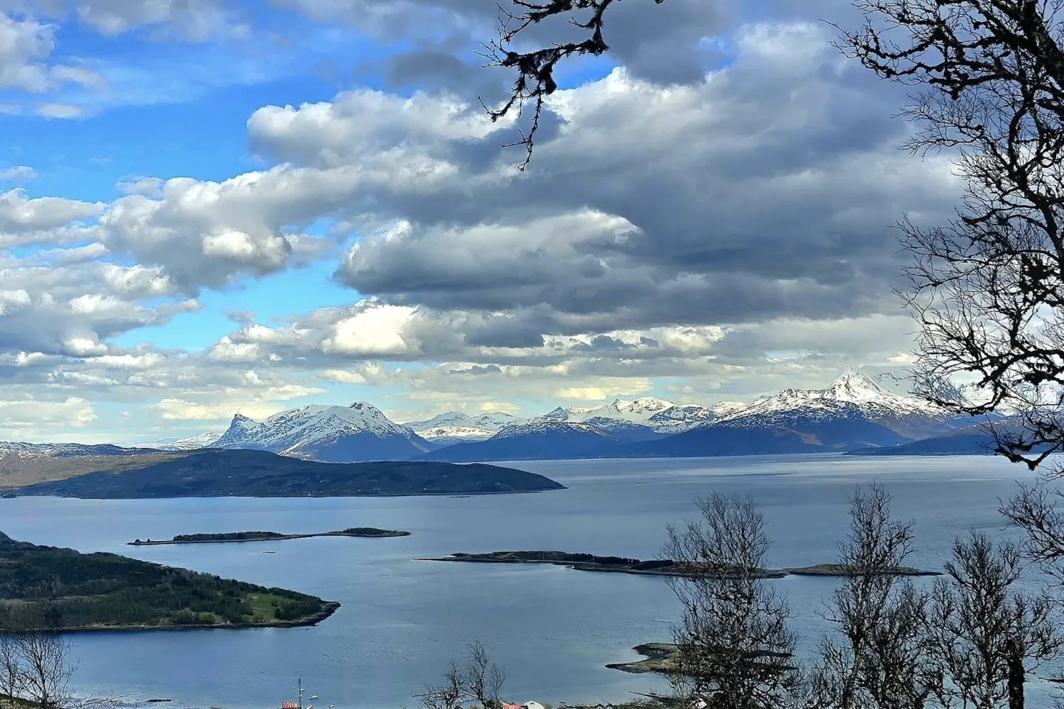 Lilandsveten