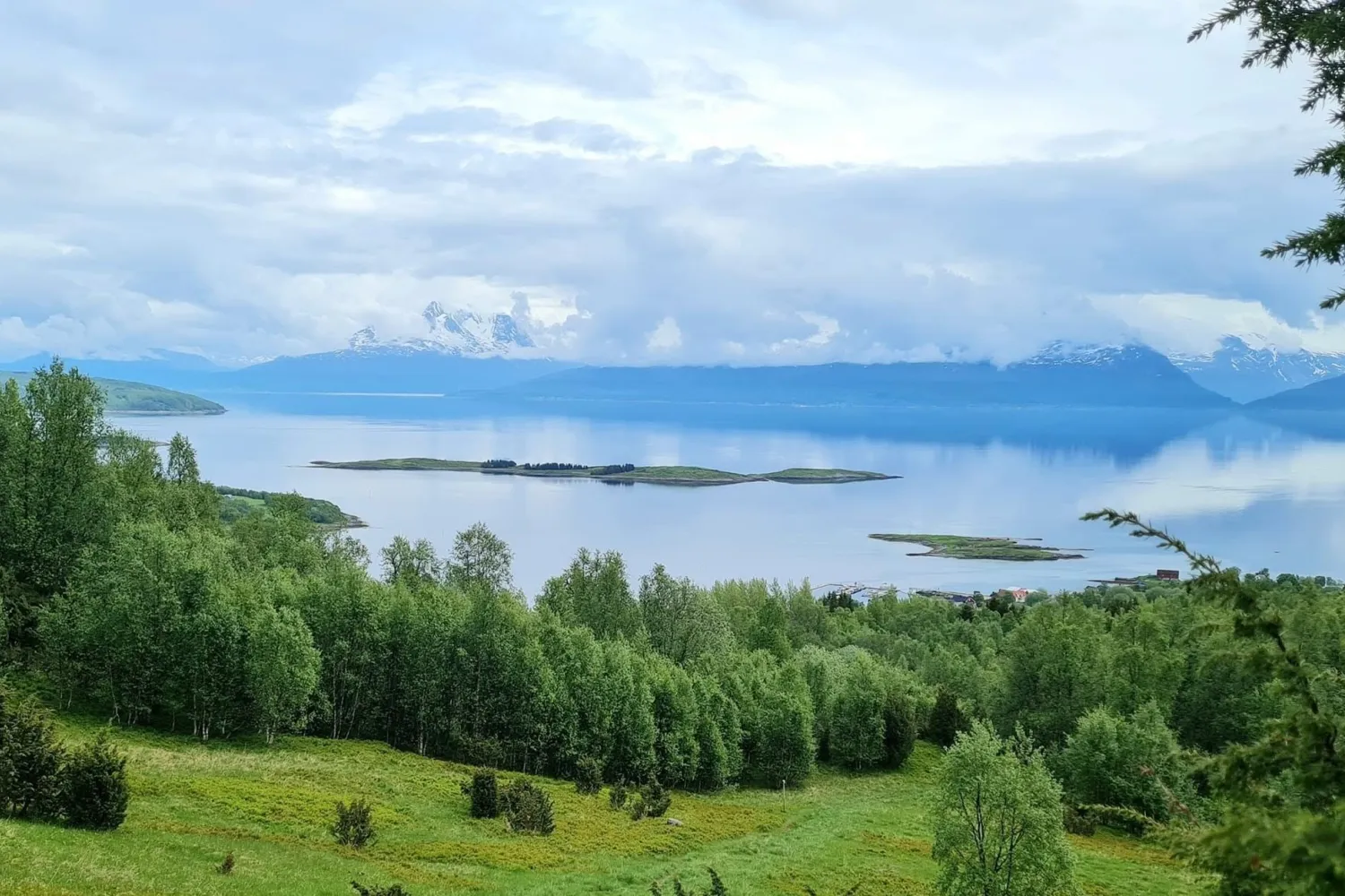 Lilandsveten