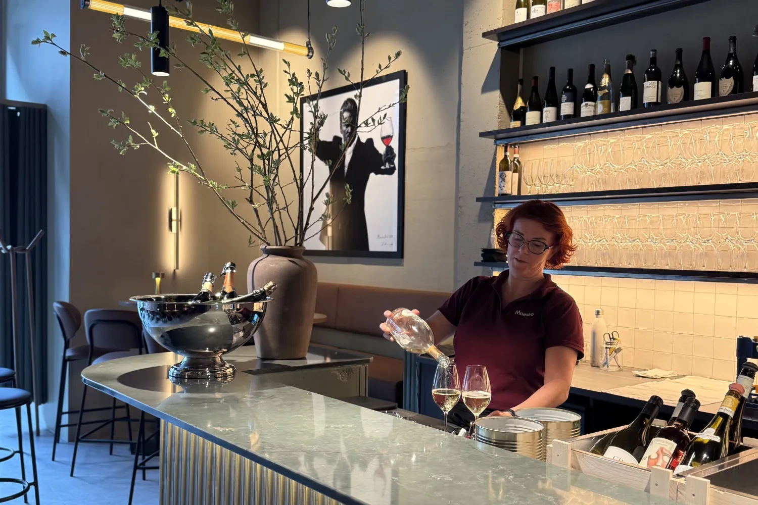Maestro Vinbar 