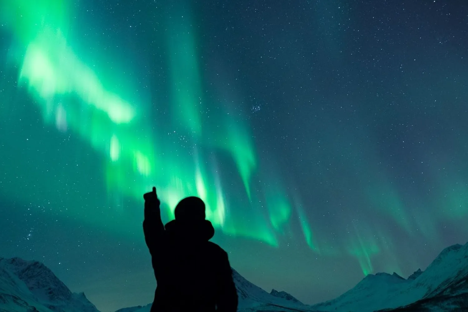 Aurora Chase by big bus from Narvik
