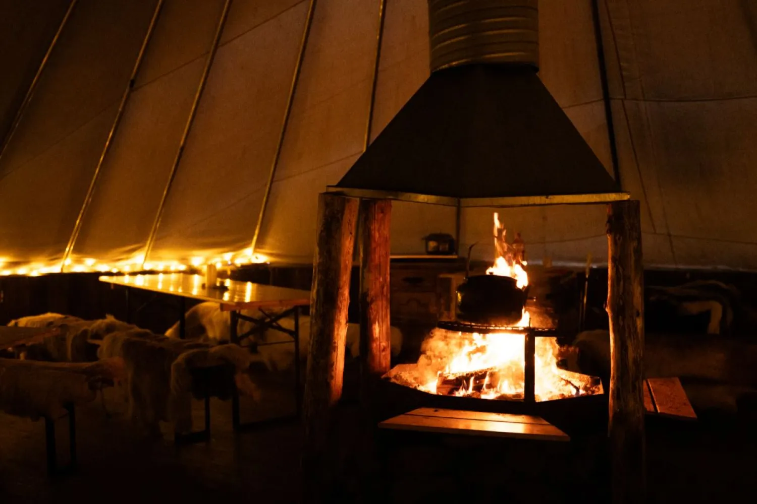 Narvik: Sami Reindeer Experience with Best Arctic