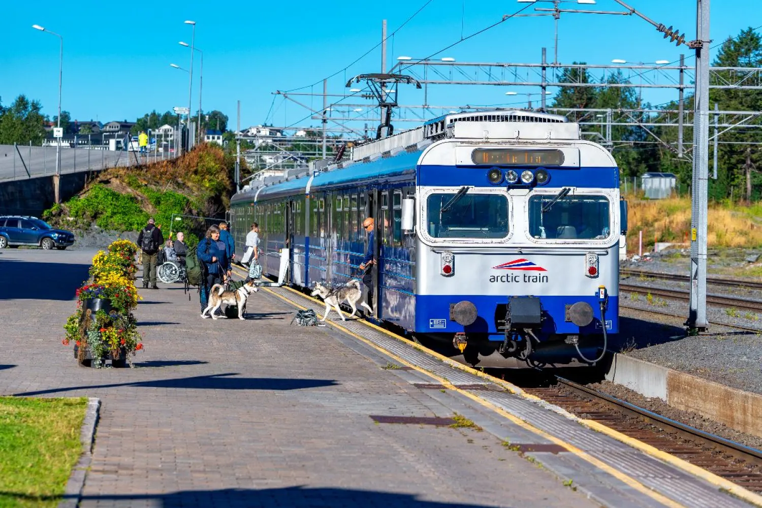 Arctic Train - Ofotbanen